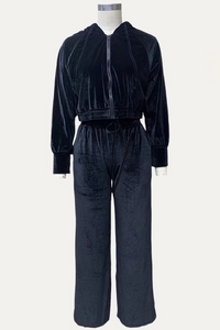 Velvet Cropped Two Piece Set