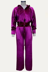 Velvet Cropped Two Piece Set
