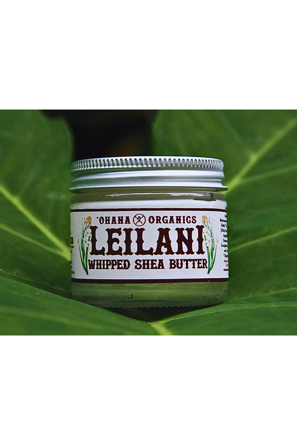 Leilani Whipped Shea Butter