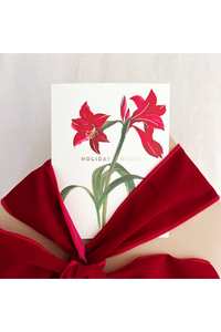 Amaryllis Holiday Wishes Card