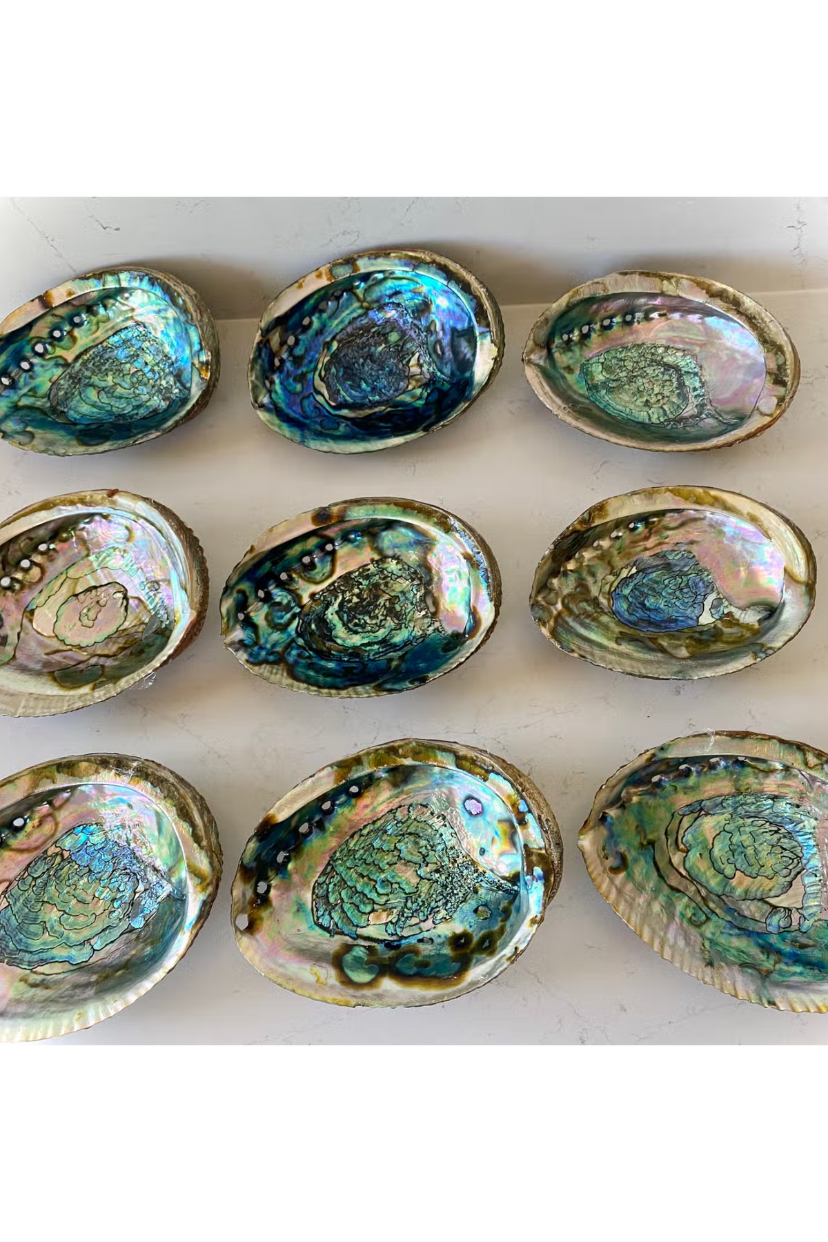 Abalone Shell Smudge Bowls (Large)