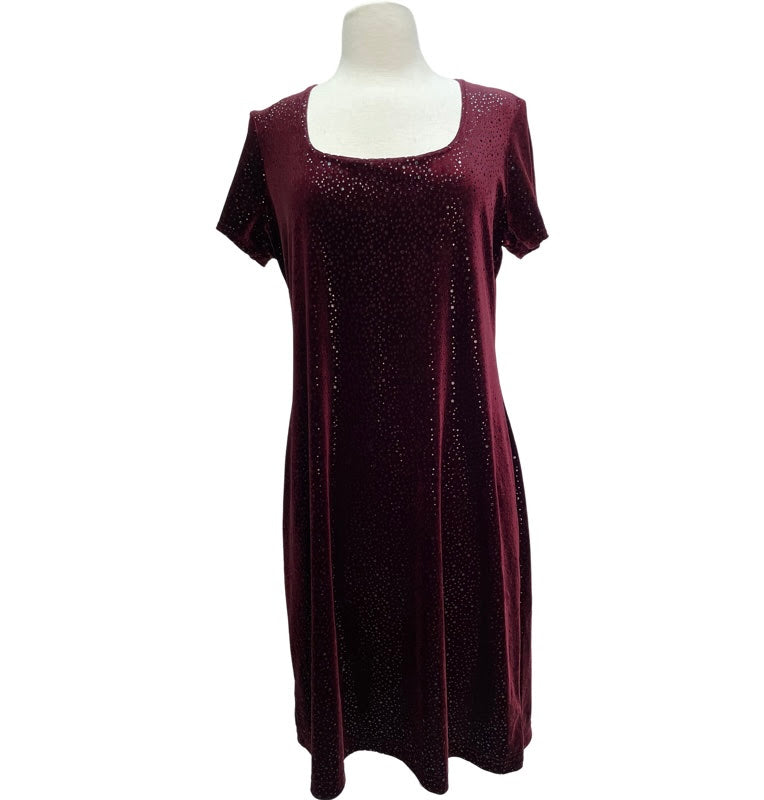 Vintage Maroon Velvet Dress