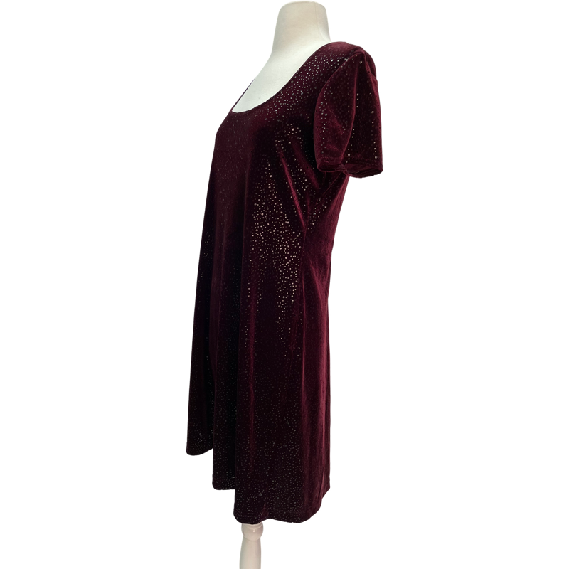 Vintage Maroon Velvet Dress