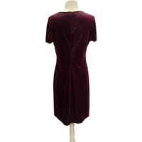 Vintage Maroon Velvet Dress