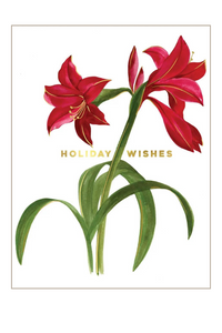 Amaryllis Holiday Wishes Card