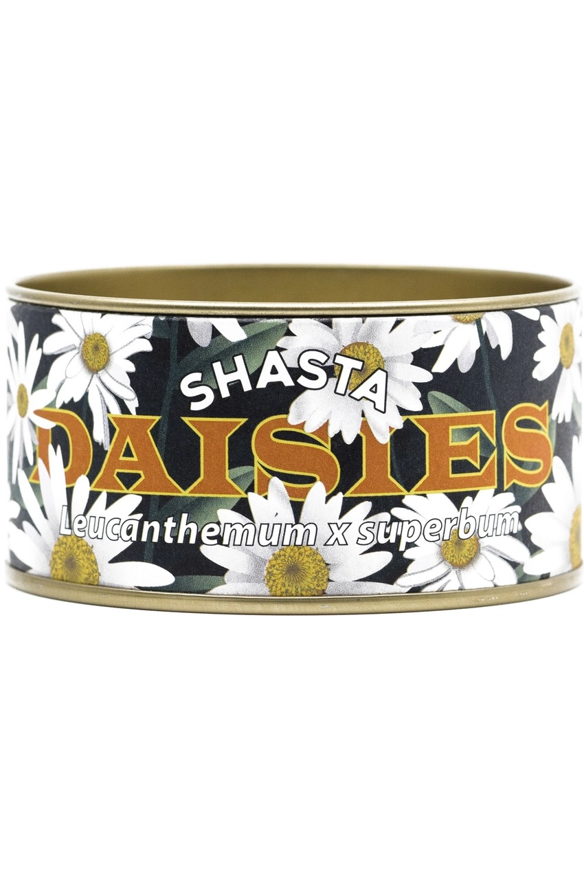 Shasta Daisy | Seed Grow Kit