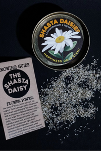 Shasta Daisy | Seed Grow Kit