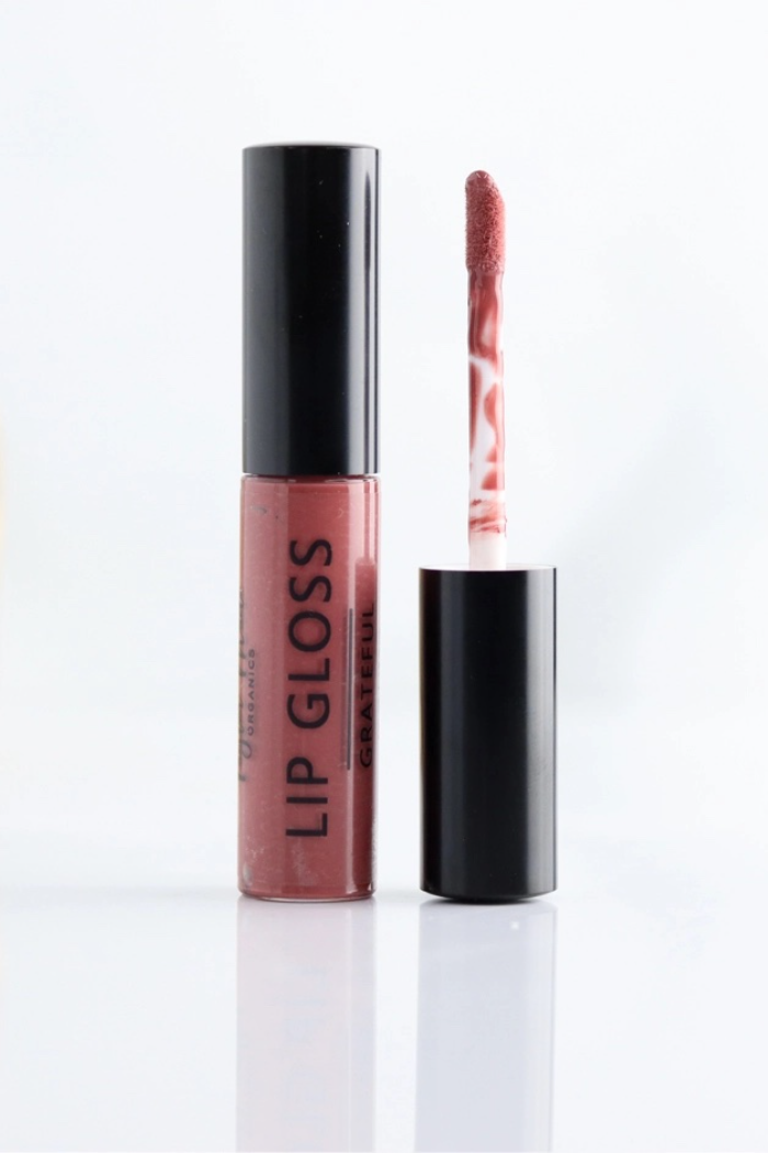 Lip Gloss - Clean + Organic