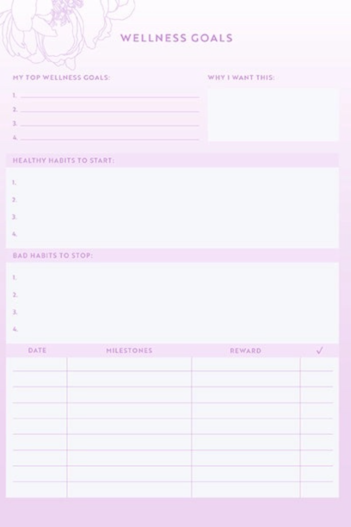 Wellness Notebook Set: A Health & Wellness Organizer