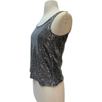 Vintage Silver Sparkle Top