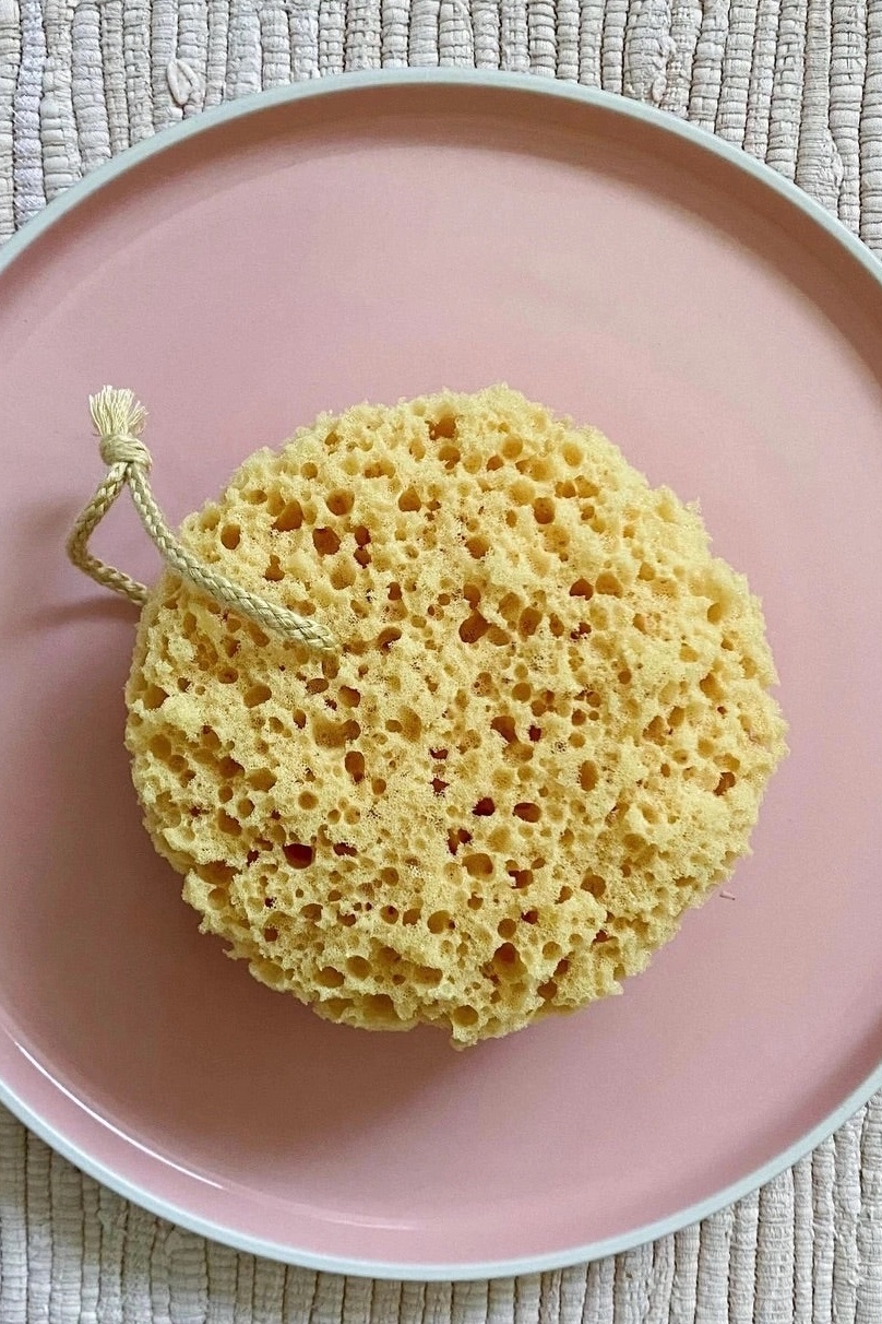 Sea Sponge Loofah