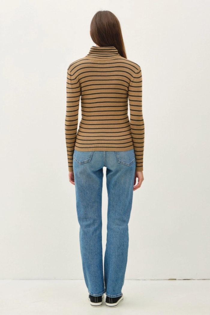 Classic Cut Striped Turtle Neck Sweater