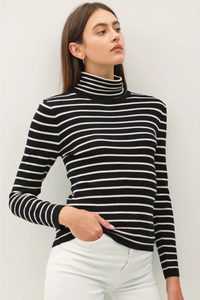 Classic Cut Striped Turtle Neck Sweater